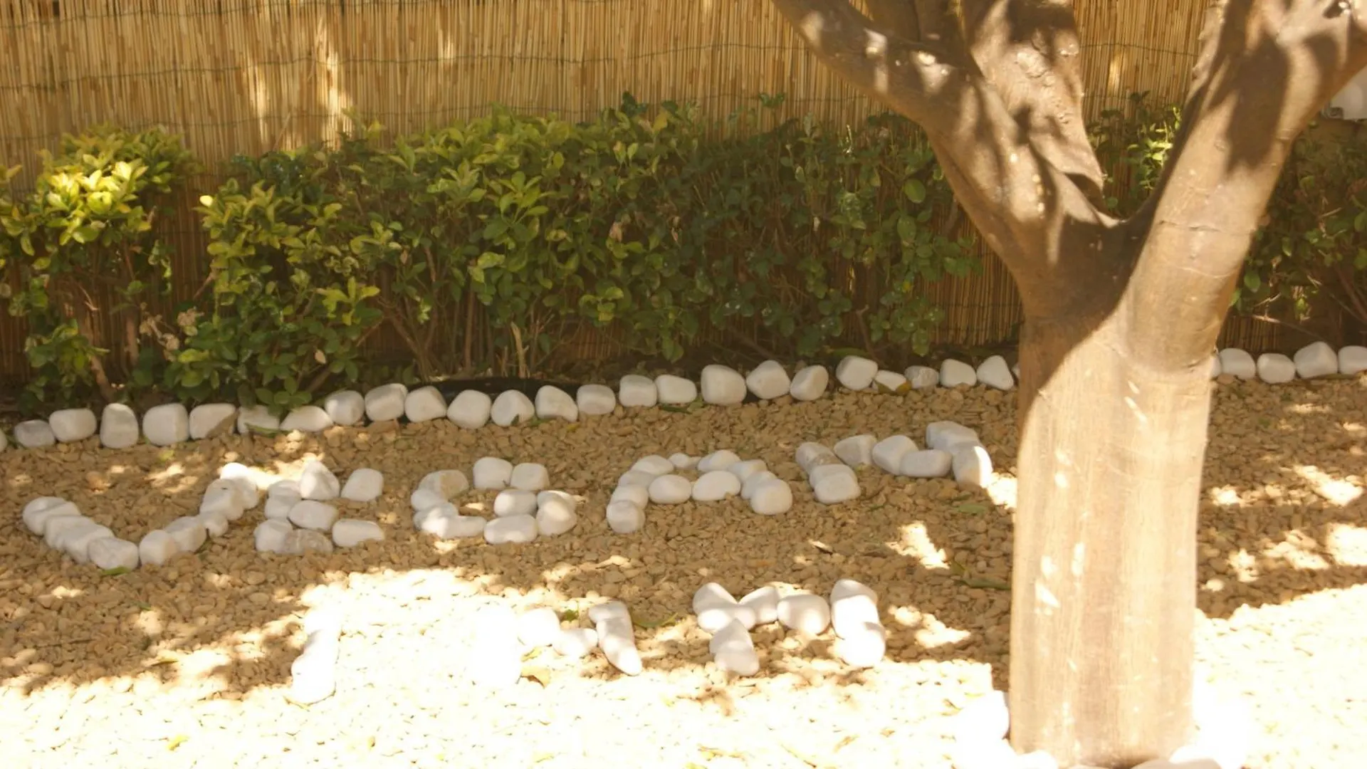 Bed & Breakfast Vegan Inn Airport - Adults Only - Late Check In Fiumicino